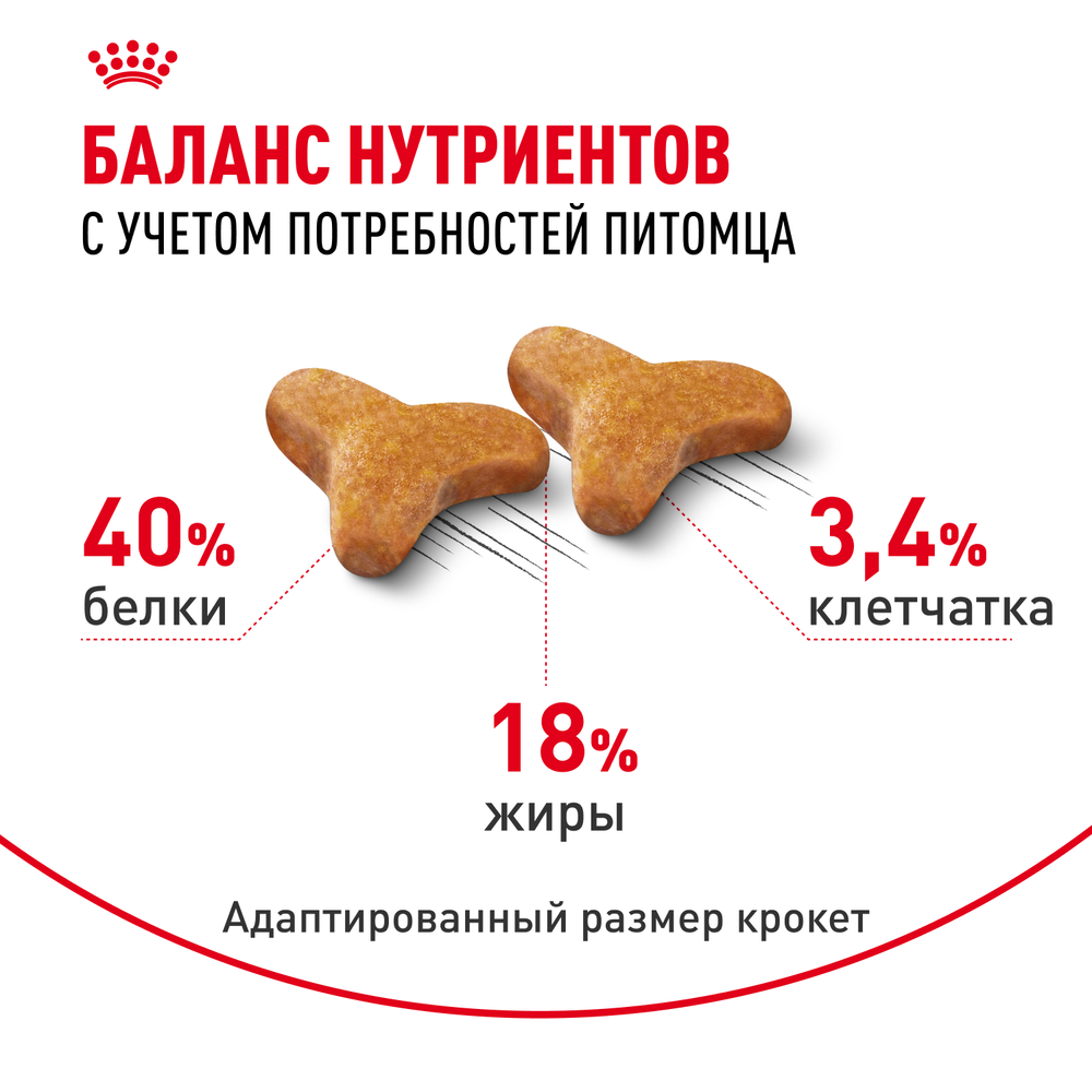 Royal Canin Bengal Adult Бенгал эдалт Корм сухой для взрослых бенгальских кошек старше 12 месяцев 400г