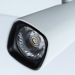 Светильник потолочный трековый Arte Lamp Barut A4561PL-1WH