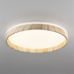 Потолочный светодиодный светильник Citilux ENZO CL753452G