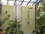 BAMBOO