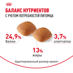 Royal Canin Golden Retriever Голден (золотой) Ретривер Эдалт Корм сухой для взрослых собак породы Голден Ретривер 12кг