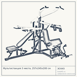 Мультистанция 3 места, 257х245х200 см — от 226 000 ₽