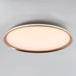 Потолочный cветильник LED4U L3020-600 GD