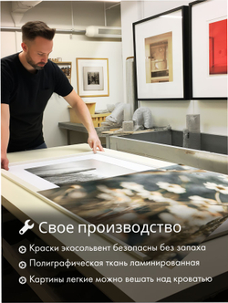 Картина Упорство ромашек модульная 50x70см 3шт., на деревянном подрамнике