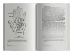 Линии: краткая история