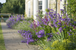 The Gardener`s Palette: Creating Colour Harmony in the Garden