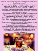 Тимьян Серебряная Королева лимонный чабрец