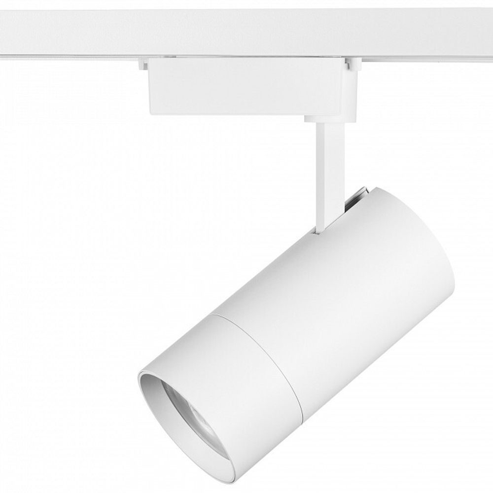 Светильник на штанге Lightstar Volta 229436