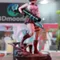 Lady with NSFW ver - Devil May Cry