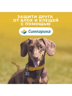 Симпарика, таблетки для собак весом от 5,1-10кг, 3 таб.