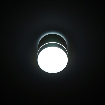 Citilux Борн CL745020N LED Светильник накладной Белый