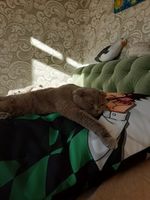 Фотография покупателя 1 - Дакимакура Танджиро Камадо