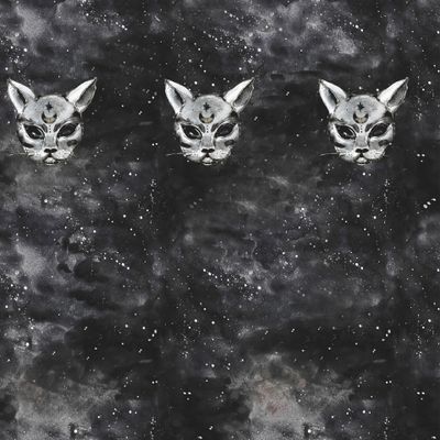Кот изотерик в космосе