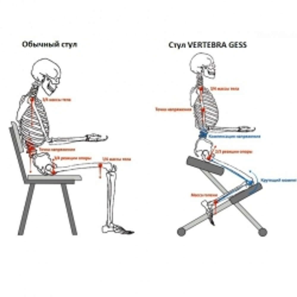 Ортопедический стул VERTEBRA GESS