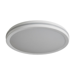 Потолочный светильник Freya FR6160CL-L40W