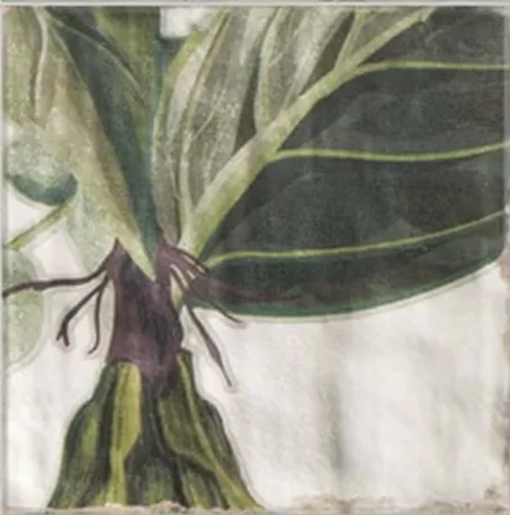 Декор Mainzu Decor Protea 20x20