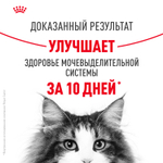 Royal Canin Urinary Care Уринари Кэа Корм сухой диета для взрослых кошек для поддержания здоровья мочевыделительной системы 4кг