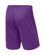 Шорты баскетбольные Camp Basic, фиолетовый, детский