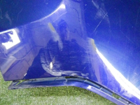DSCN5030.jpg