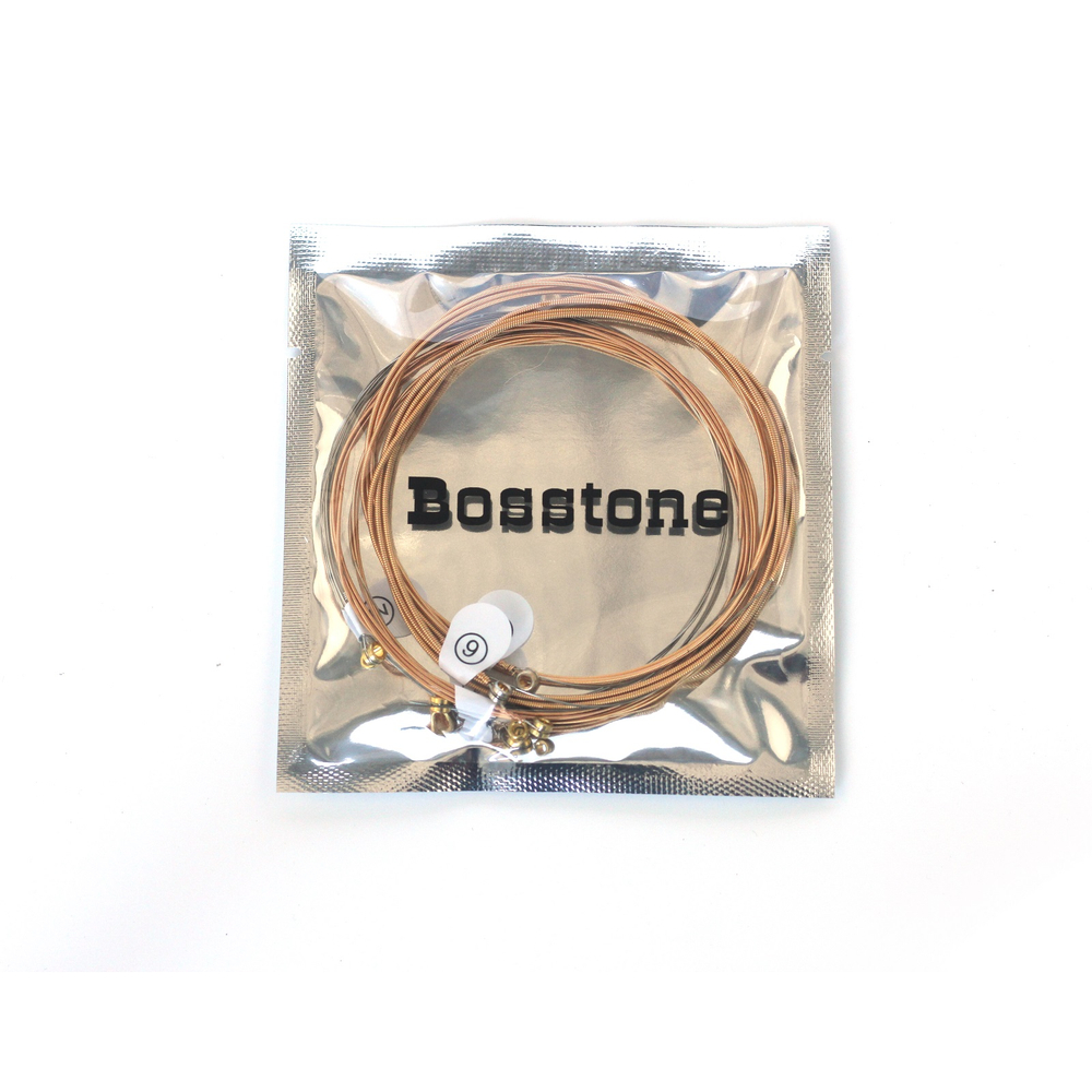bosstone_bs_fb12-53_1_-1697765456.jpg