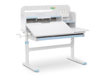 Растущая парта Ergokids TH-330 (1000×600 мм)