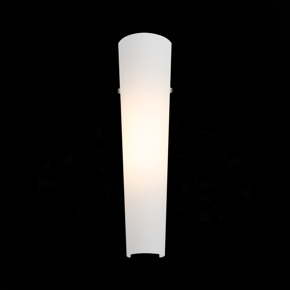 Светильник настенный ST Luce Snello SL508.501.01