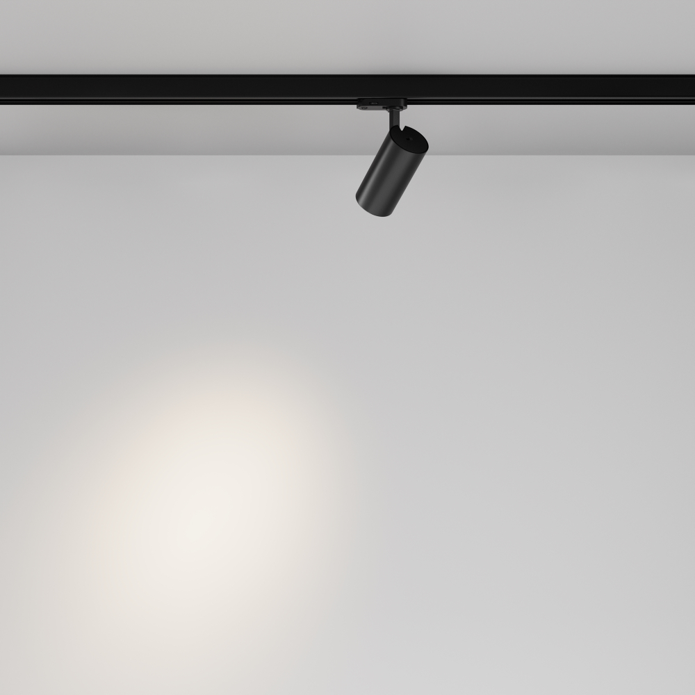 Трехфазный трековый светодиодный светильник Maytoni Focus Led TR197-3-12WCCT-M-B