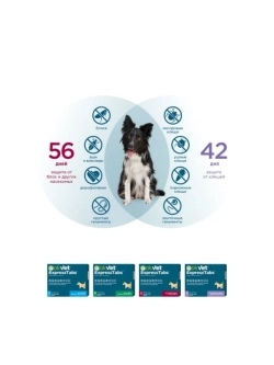 OKVET ЭкспрессТабс для собак от 30кг до 60кг 2табл