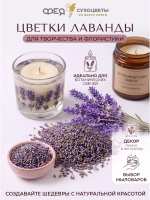 Лаванда синева цветы для творчества, декора и чая
