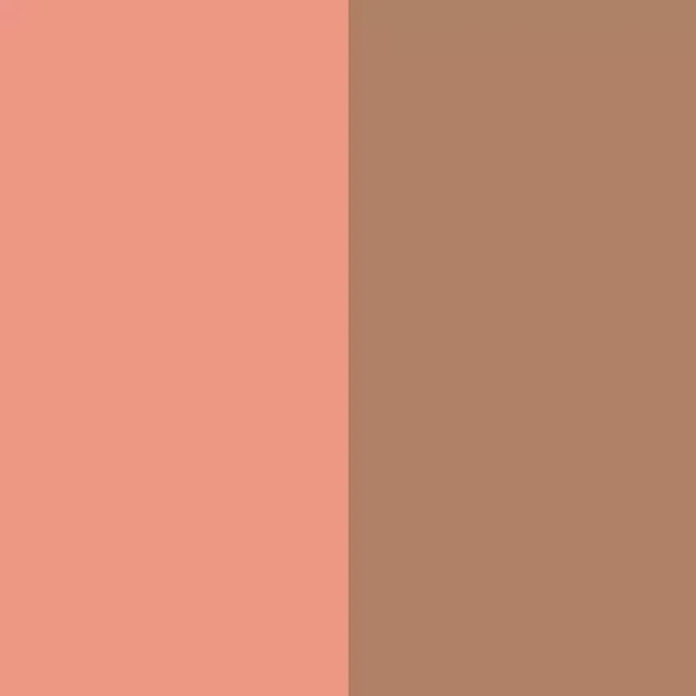 Румяна компактные RELOUIS PRO Blush Duo - 203