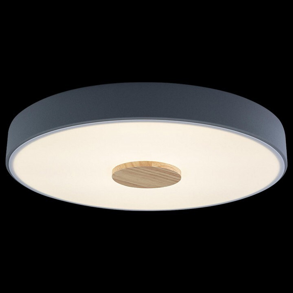 Накладной светильник Loft it Axel 2 10003/24 Grey