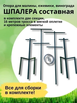 Шпалера для малины и винограда