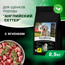 Корм сухой для щенков породы Английский сеттер, премиум полнорационный комплекс, с ягненком, 2,5 кг, QUATTRO