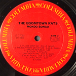 The Boomtown Rats ‎– Mondo Bongo (США 1981г.)