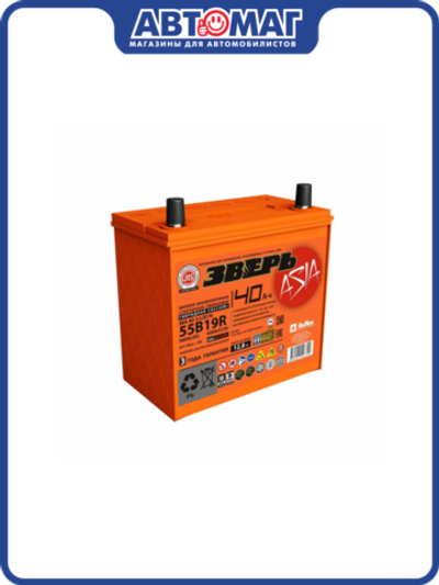 Аккумулятор ЗВЕРЬ ASIA 40 А/ч обратный R+ 198x129x223 B19 EN 450 А