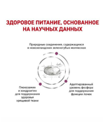 Royal Canin Mobility (Роял Канин Мобилити) сухой корм для кошек 2 кг