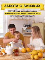 Подарочный набор мёда с ложкой (с кедровым орехом, 300 г; горный липовый, 300 г)