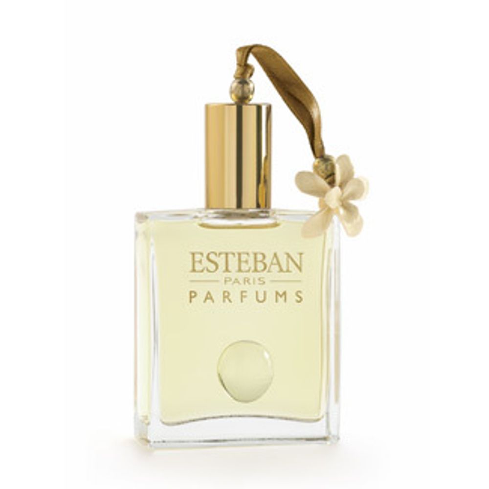 Esteban Oriental Flower