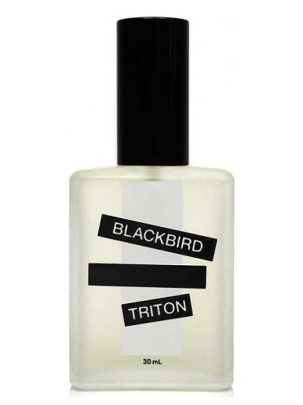 Blackbird Triton