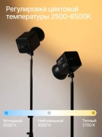Осветитель светодиодный Raylab RL-100RGB 100W 5000mAh c аксессуарами