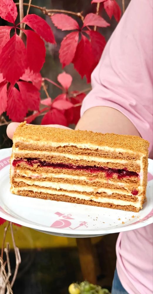 МЕДОВИК С БРУСНИКОЙ
