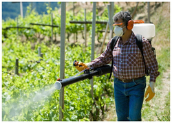 Бензиновый опрыскиватель STIHL SR 420, 14 л