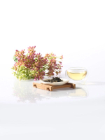 Чай зеленый HAZO Jasmine Green Tea листовой 100 г (из Финляндии)