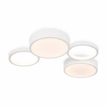 Потолочная люстра с пультом ДУ 69W 3000-7000K FR6080CL-L92W белый Molecule Freya