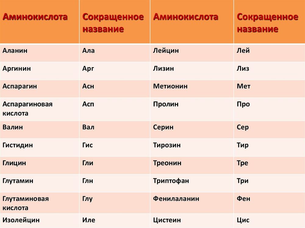 Модель Молекула белка — купить по ФГОС | Учебный стандарт Модель Молекула белка — купить по ФГОС | Учебный стандарт