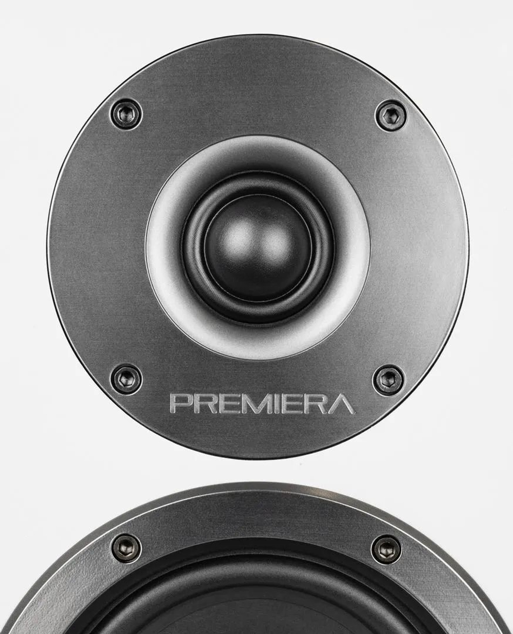 Полочная акустика Premiera DS-501