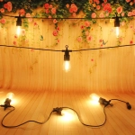 Гирлянда для улицы 5м 10 ламп LED «Filament» чёрный провод, 1 режим, 220V, IP-65, Теплый белый (возможность соединения)