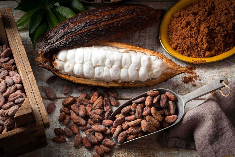 Качество какао, сортировка и хранение