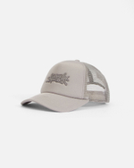 Кепка Anteater Trucker Серый