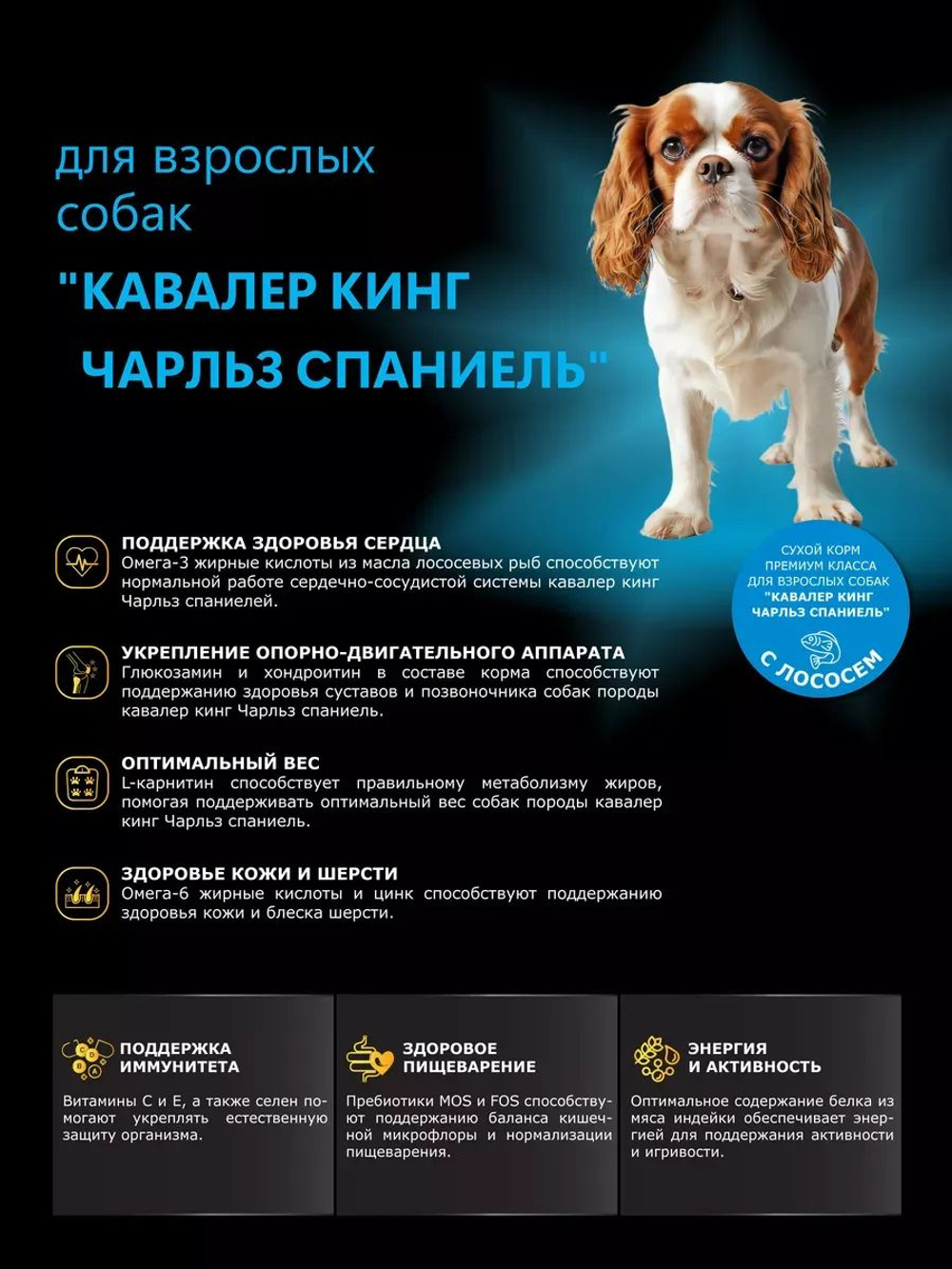 Корм сухой для взрослых собак породы Кавалер кинг Чарльз спаниель, с лососем, 800 гр, QUATTRO